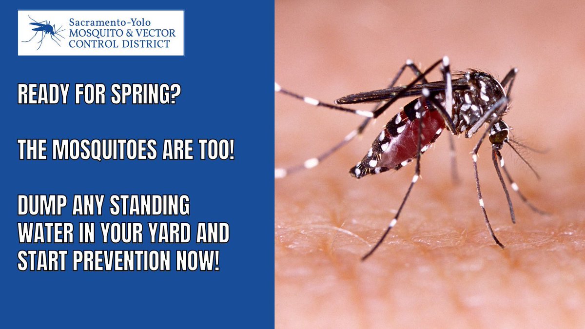 Sac-Yolo Mosquito tweet media