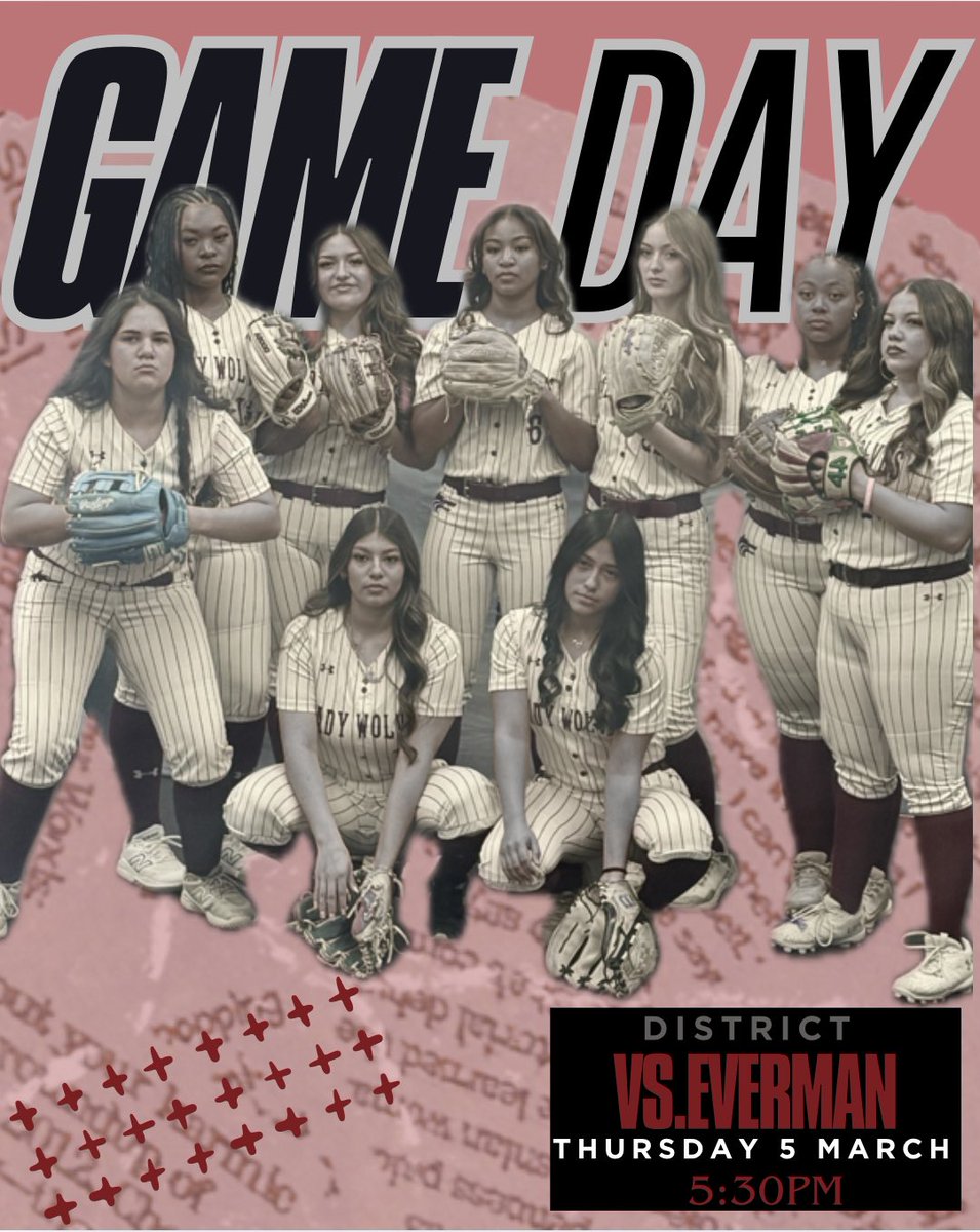 Timberview Softball tweet media