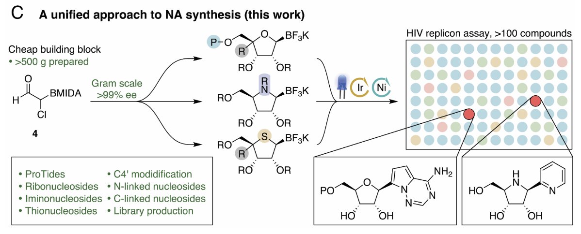 BrittonLab tweet media