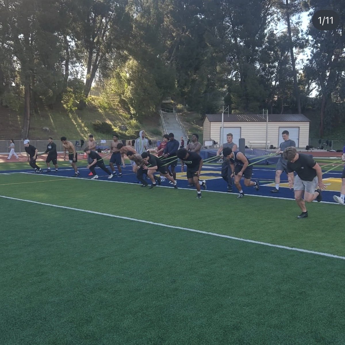 Omar Colon tweet media