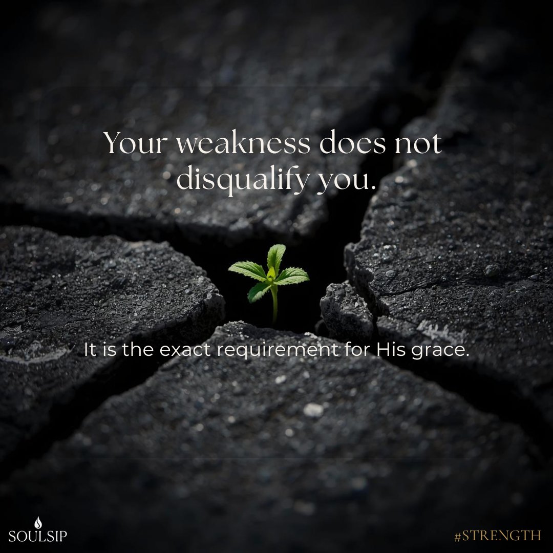 officialsoulsip's tweet image. We spend our lives trying to hide our brokenness, fearing it makes us unusable. But the Master Potter does His best work with fragile clay. Your weakness is not a burden to God; it is a canvas for His glory. 
#SoulSip #ChristianCarousel #Grace #StrengthInChrist #Healing