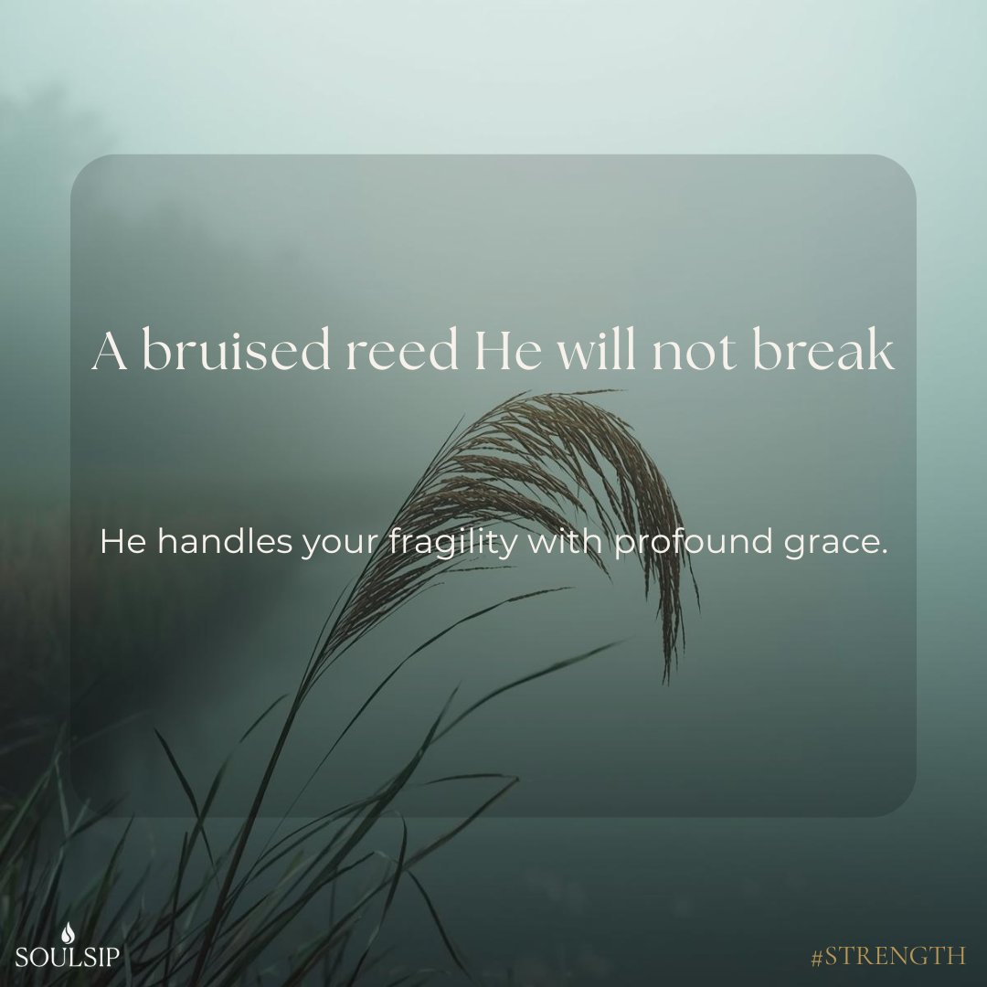 officialsoulsip's tweet image. We spend our lives trying to hide our brokenness, fearing it makes us unusable. But the Master Potter does His best work with fragile clay. Your weakness is not a burden to God; it is a canvas for His glory. 
#SoulSip #ChristianCarousel #Grace #StrengthInChrist #Healing