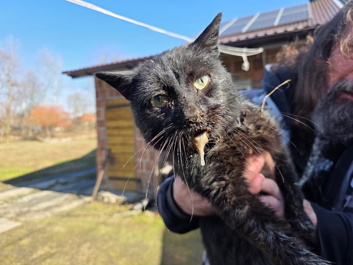 Fundacja ADA tweet media