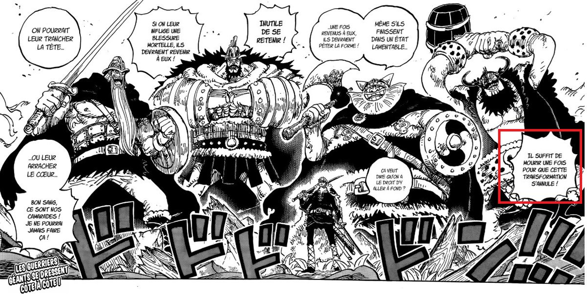 Raftel hill tweet media