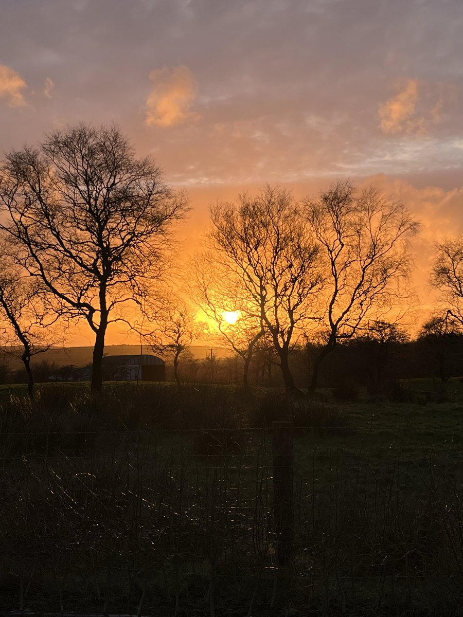 Jimmy 🍉🍉🍉 tweet media