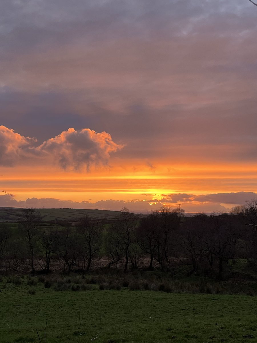 Jimmy 🍉🍉🍉 tweet media