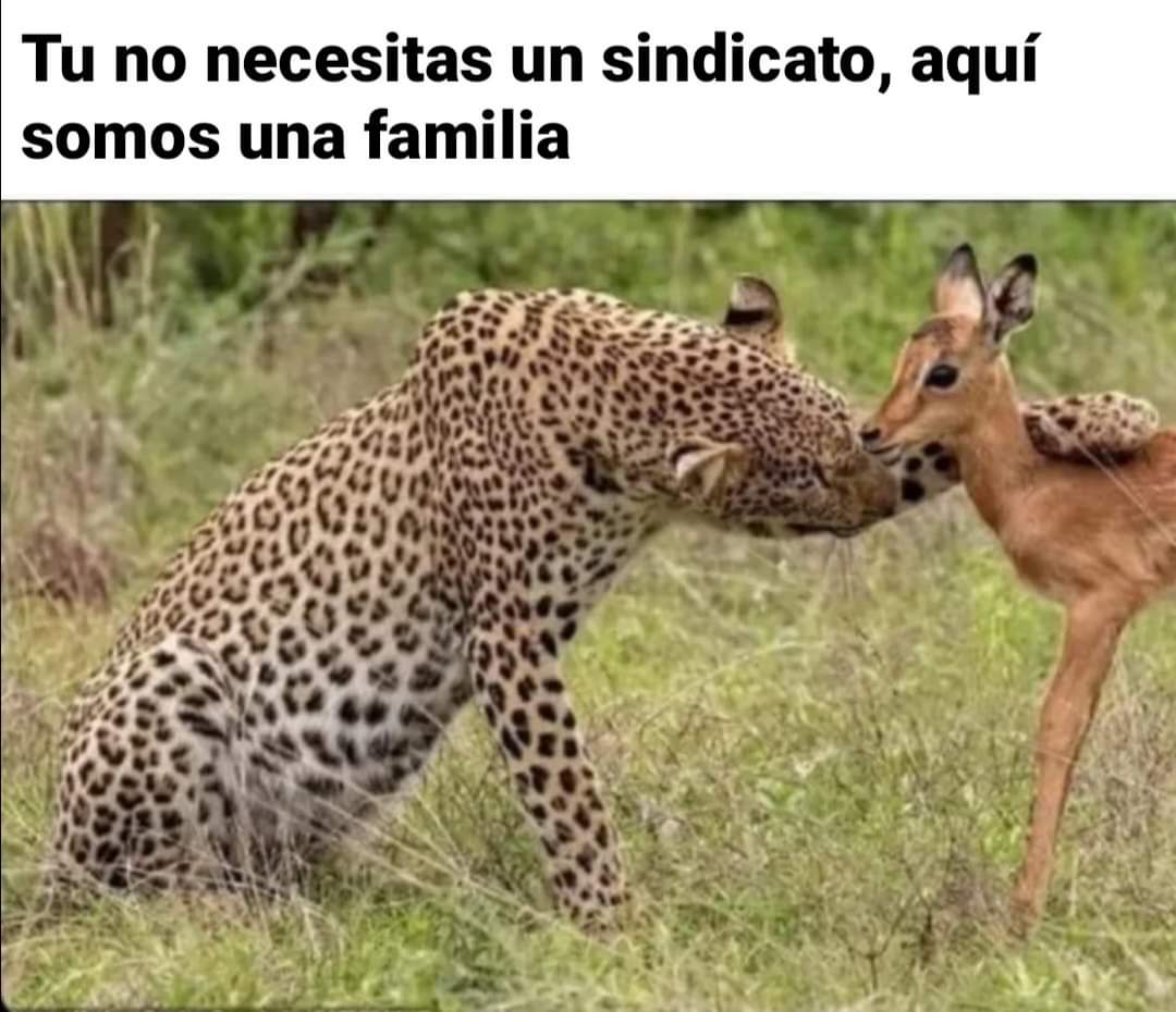 Ana_LaPatata tweet media