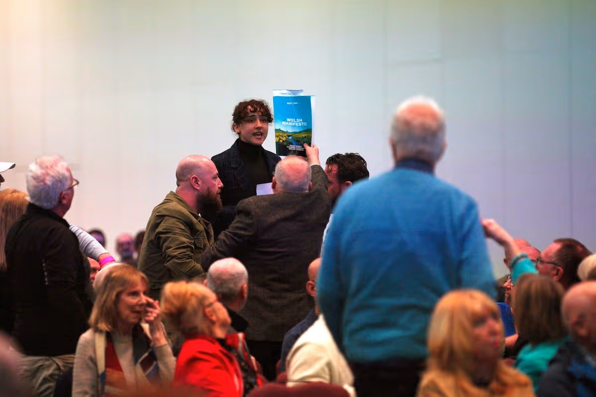 Conor Gogarty tweet media