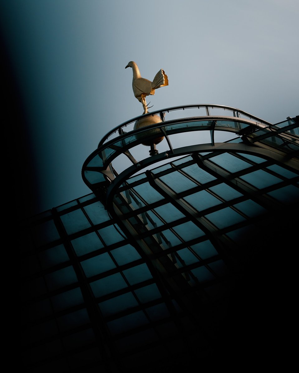 Tottenham Hotspur tweet media