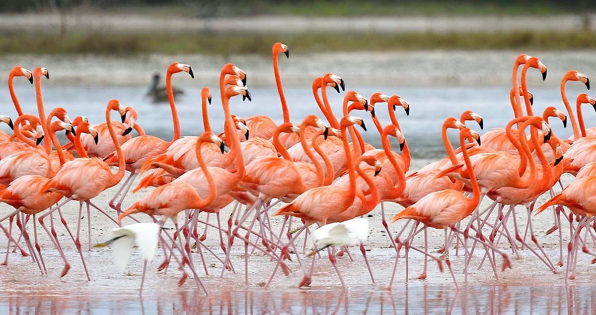 Panem Insider tweet media