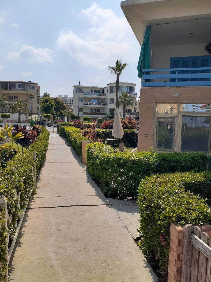 Open Life 👫 tweet media