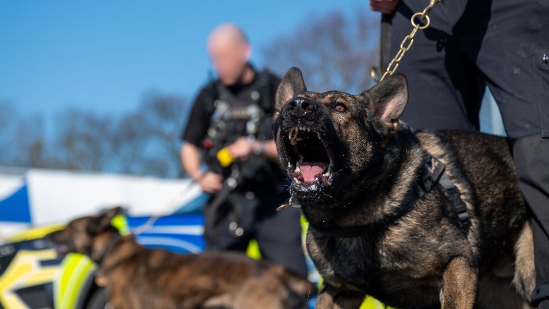 Merseyside Police tweet media