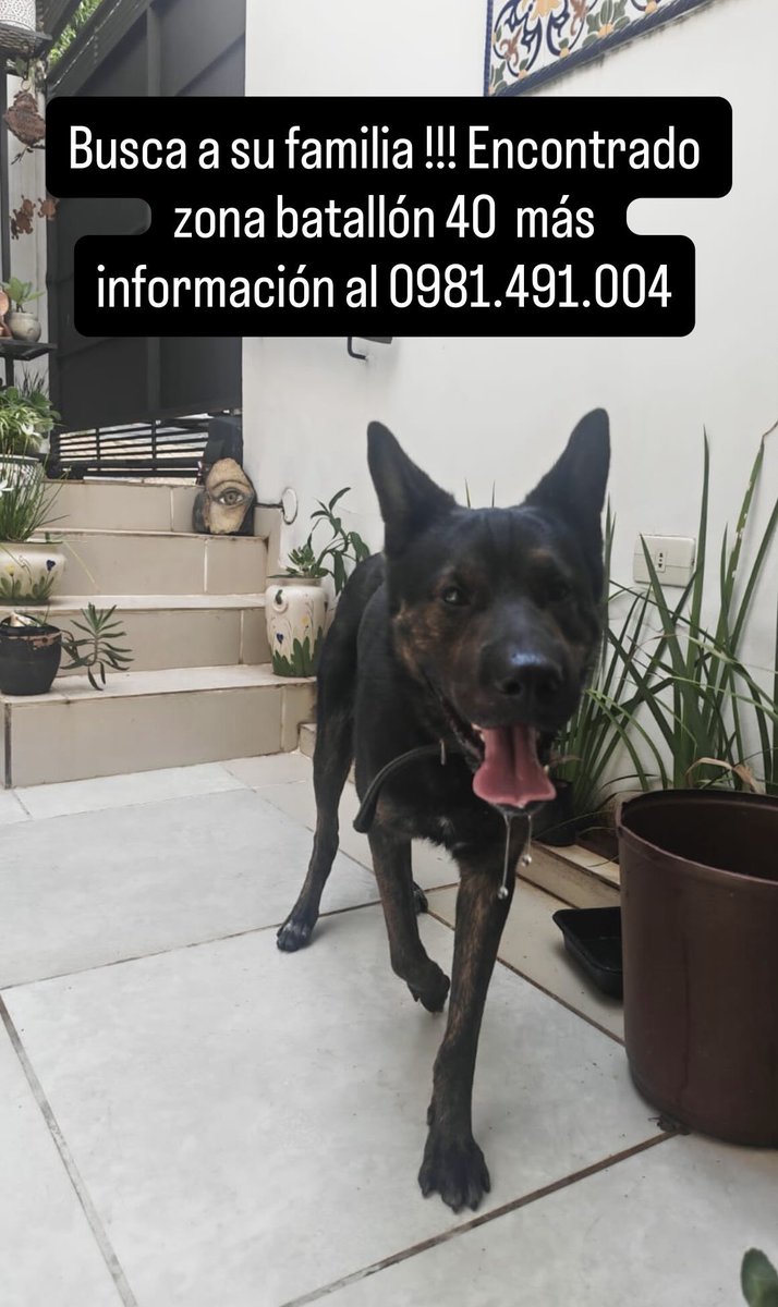 Marcando Huellas tweet media