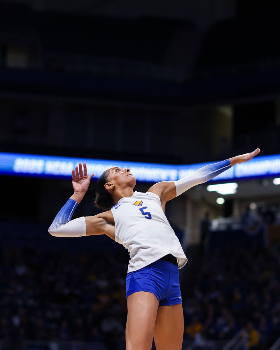 Pitt Volleyball tweet media