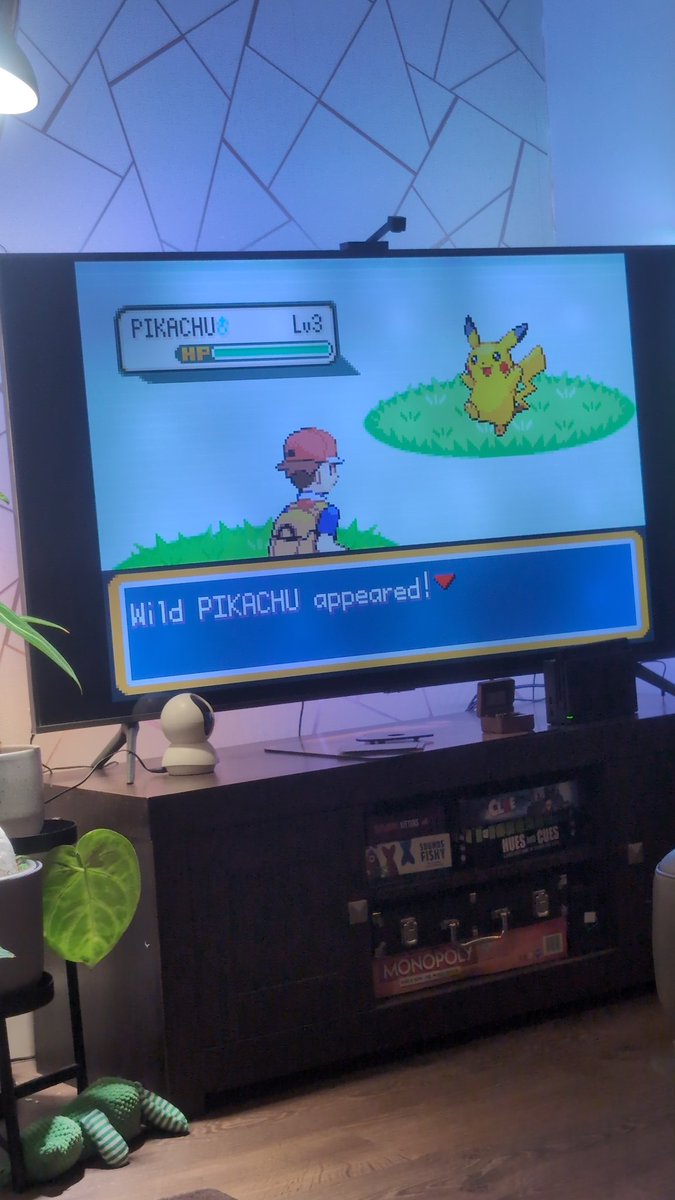 GingerBred tweet media