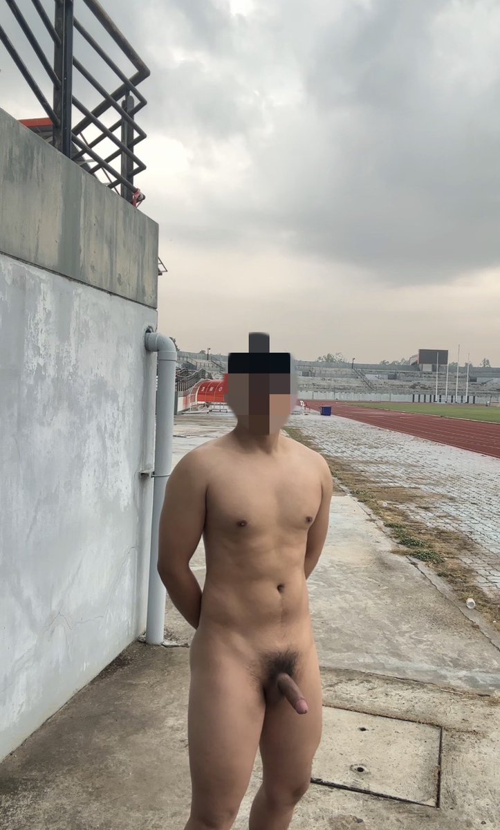 Tearex🦖 tweet media