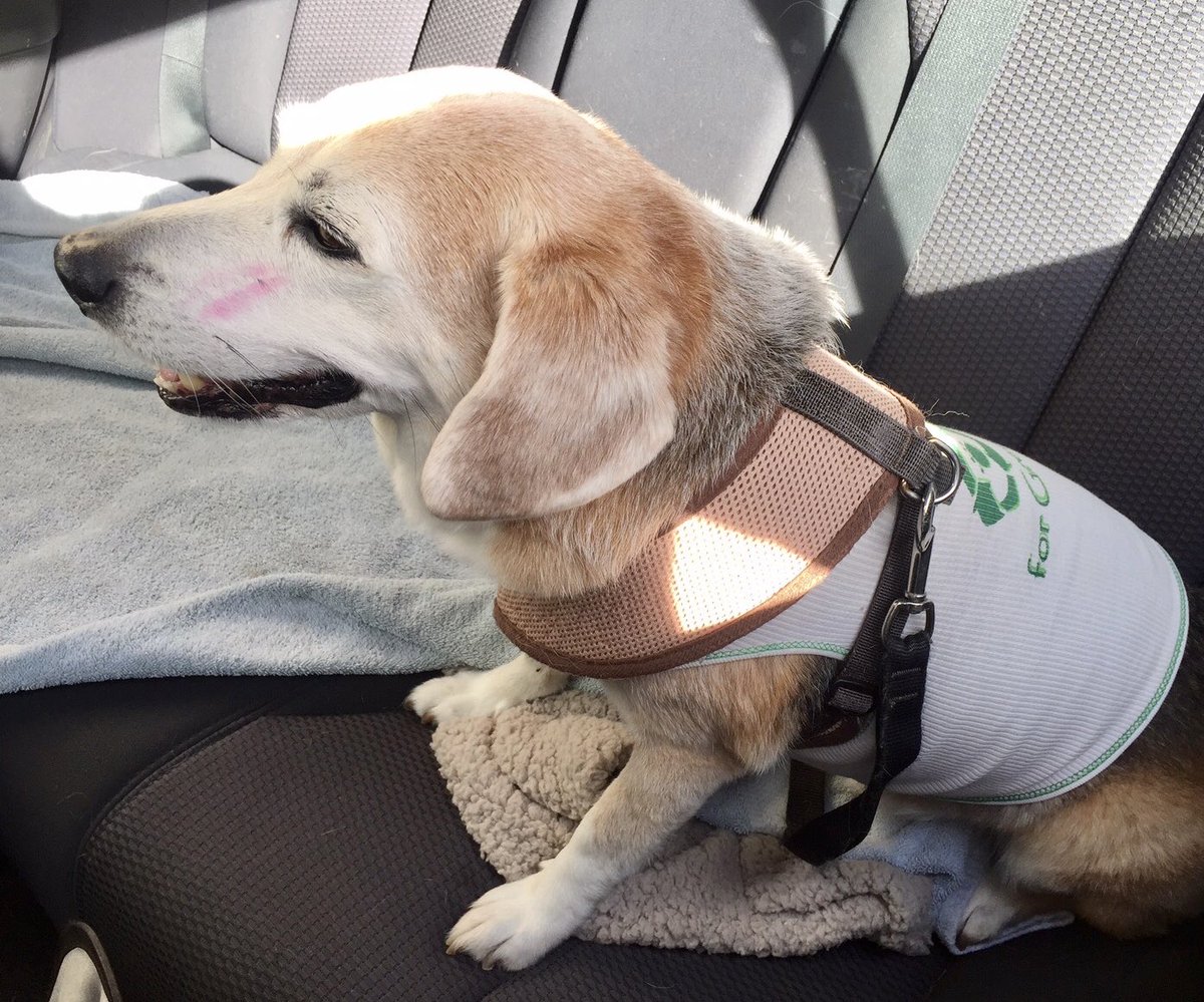 #tbt my ant gayv me a kiss 💋