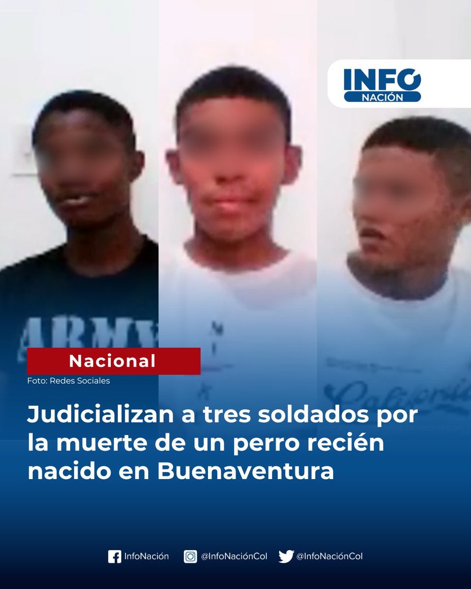 #InfoNación La Fiscalía General de la Nación, a través del Grupo Especial para la Lucha contra el Maltrato Animal (GELMA), judicializó a tres soldados señalados de causar la muerte de un perro recién nacido en Buenaventura, Valle del Cauca.

Los hechos habrían ocurrido el pasado