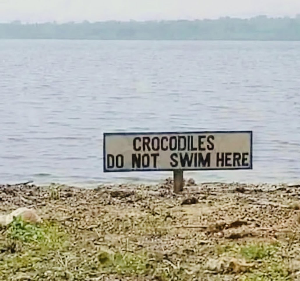 Kgoshi Ya Lebowa tweet media