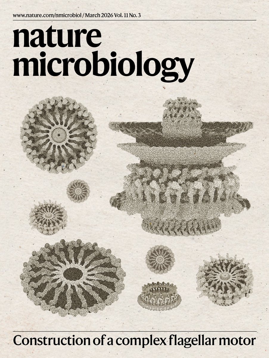 Nature Microbiology tweet media