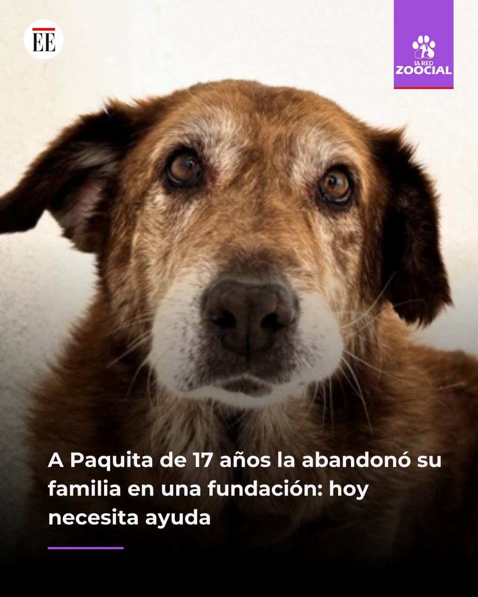 La Red Zoocial tweet media