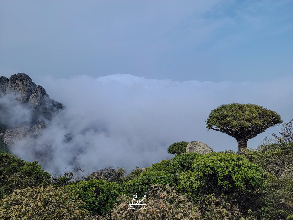 أماكن اليمن tweet media