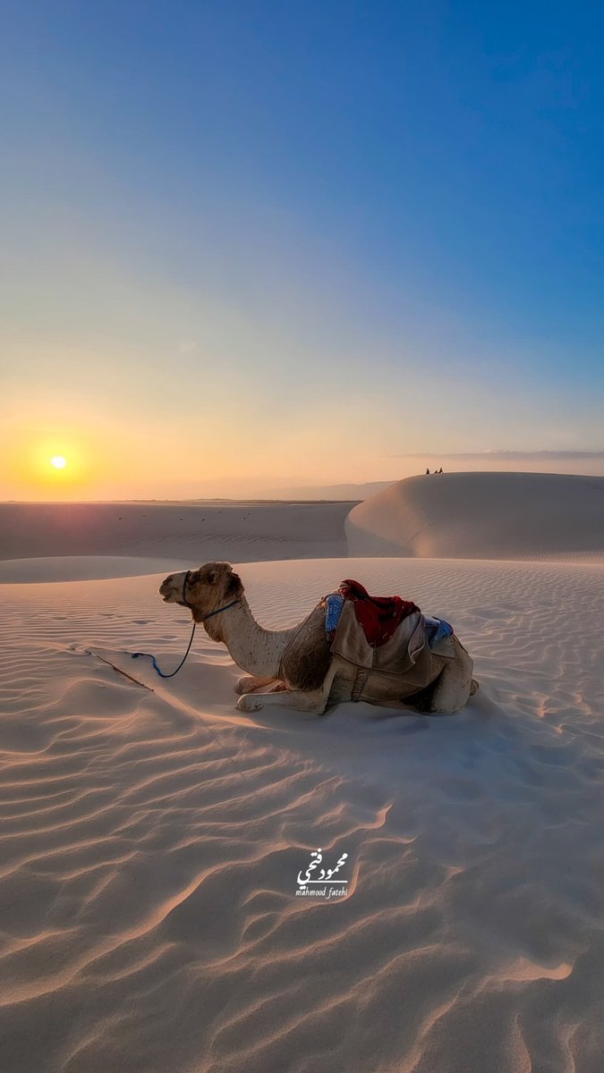 أماكن اليمن tweet media