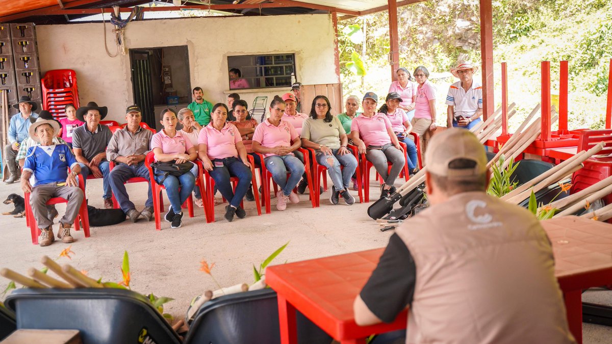 Cormacarena tweet media