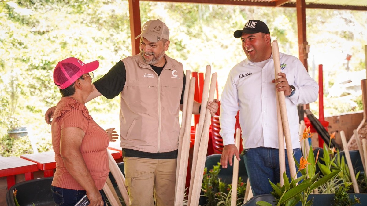 Cormacarena tweet media