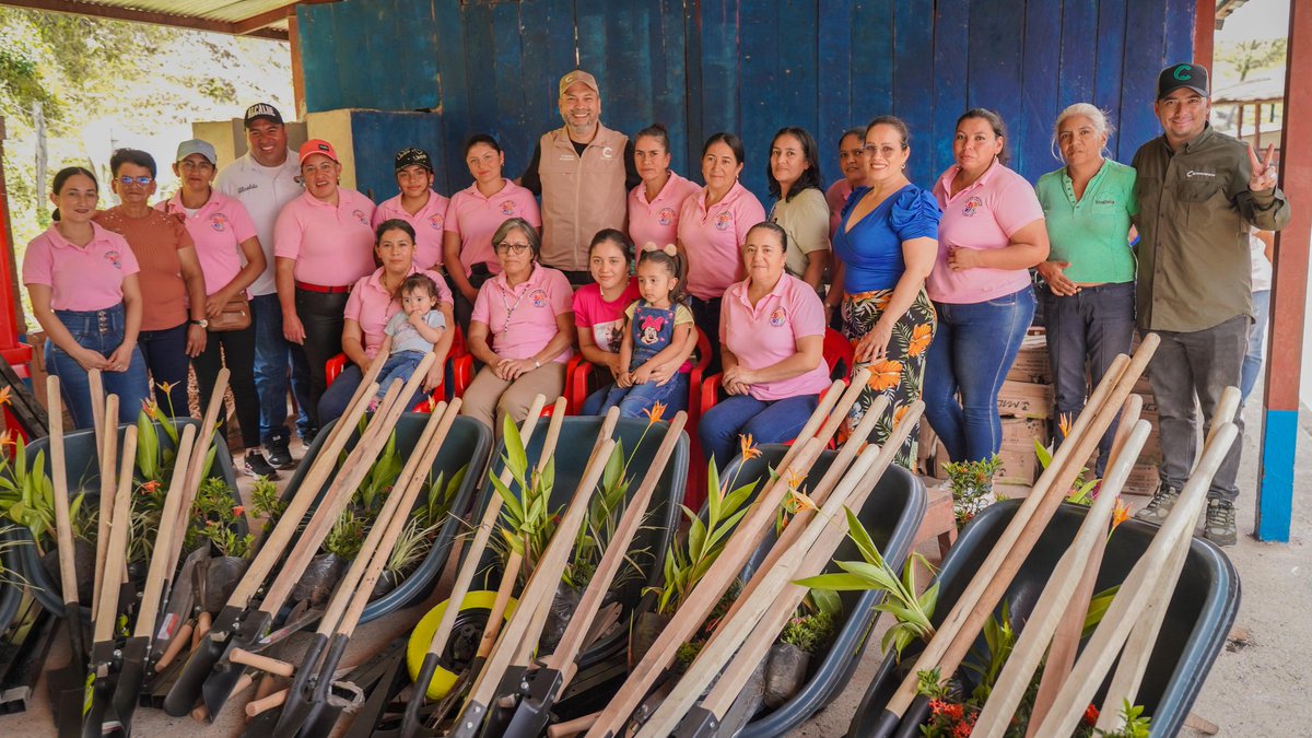 Cormacarena tweet media