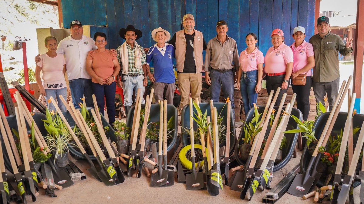 Cormacarena tweet media