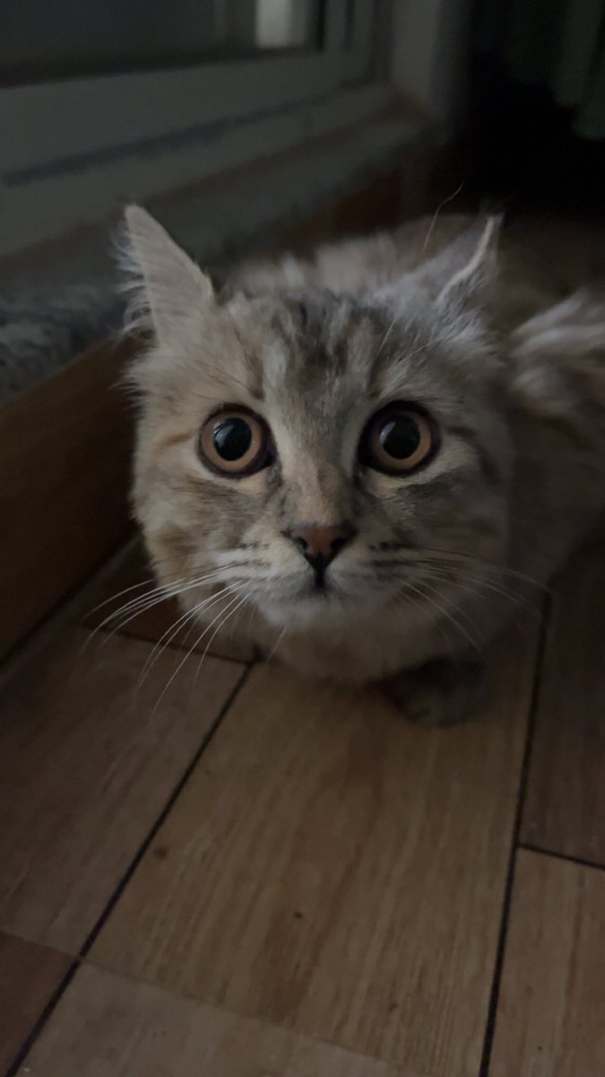 _sg_official_'s tweet photo. This week with Nova🧿 https://t.co/xC9rY18e1p