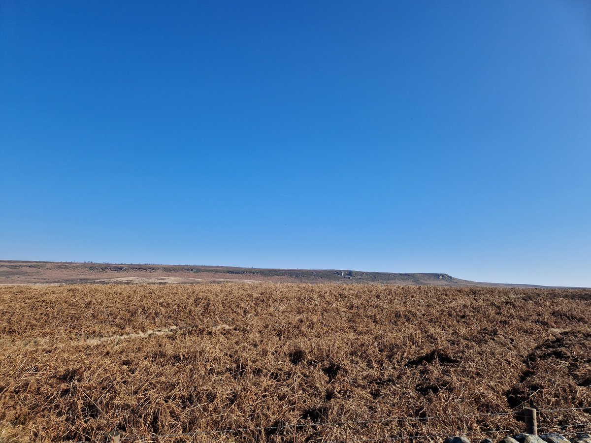 Natural Derbyshire Tours tweet media