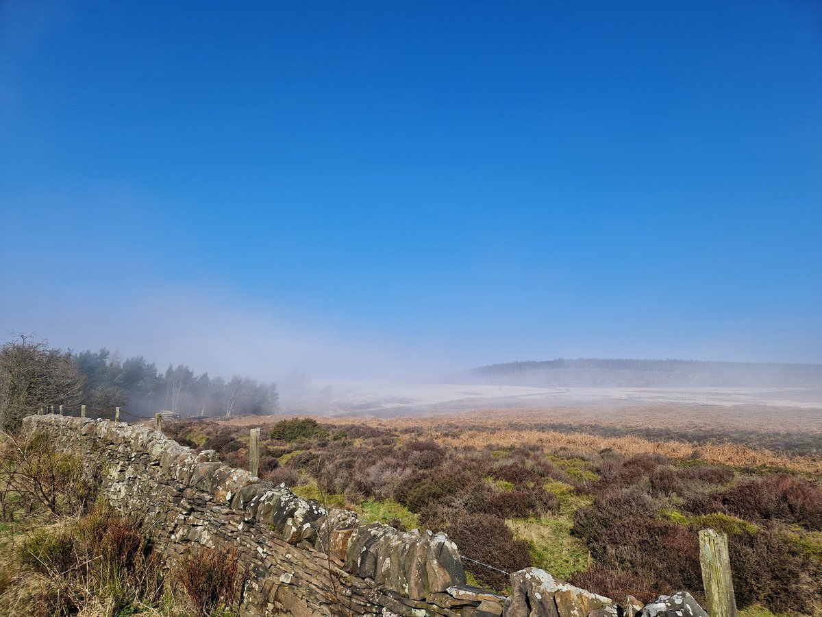 Natural Derbyshire Tours tweet media