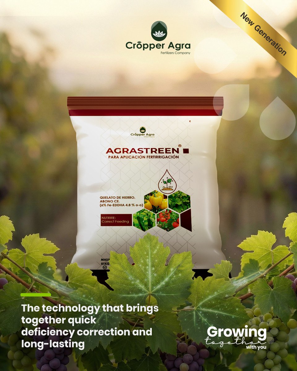 Cropper_Agra's tweet photo. AGRASTREEN range: EDDHA Iron chelate that thrives in high pH soils (stable 4-12).Quick deficiency fix,lasting nutrition, more chlorophyll &amp; healthier crops. Bioavailable Fe activates enzymes for better respiration.Grow green!🌱
#greentechnology #agriculture #farming #agribusiness https://t.co/gV9mhhETZz
