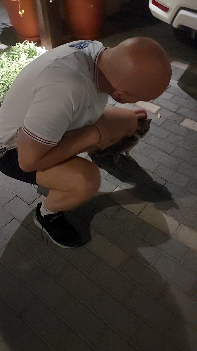 RobinsonAlan's tweet photo. Right, enough! Had to cancel football and then have a serious conversation with a couple of cats scared by the interceptions. https://t.co/6etBFvZEm0
