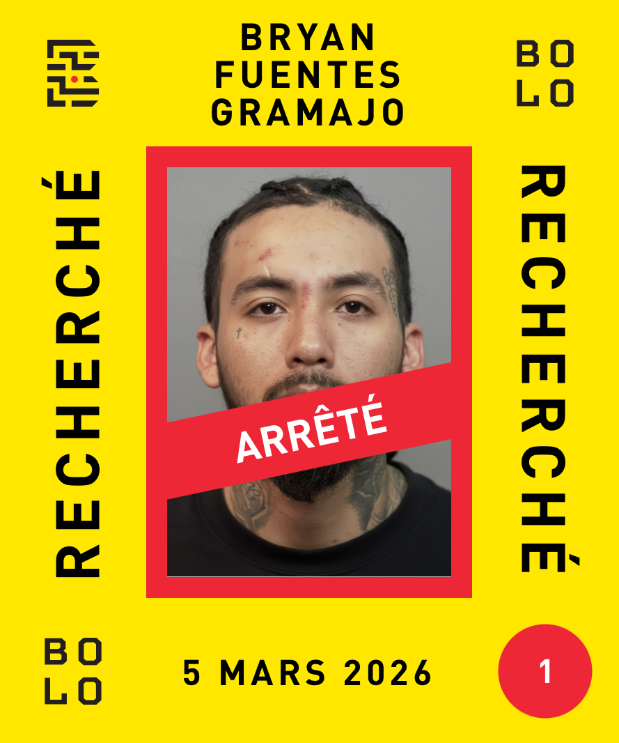 Bolo Program | Programme Bolo tweet media