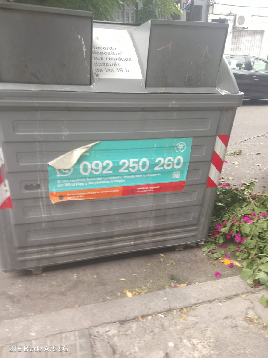 Sebastian Ibarra tweet media