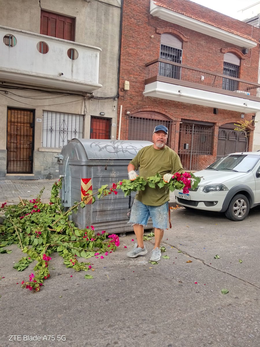 Sebastian Ibarra tweet media