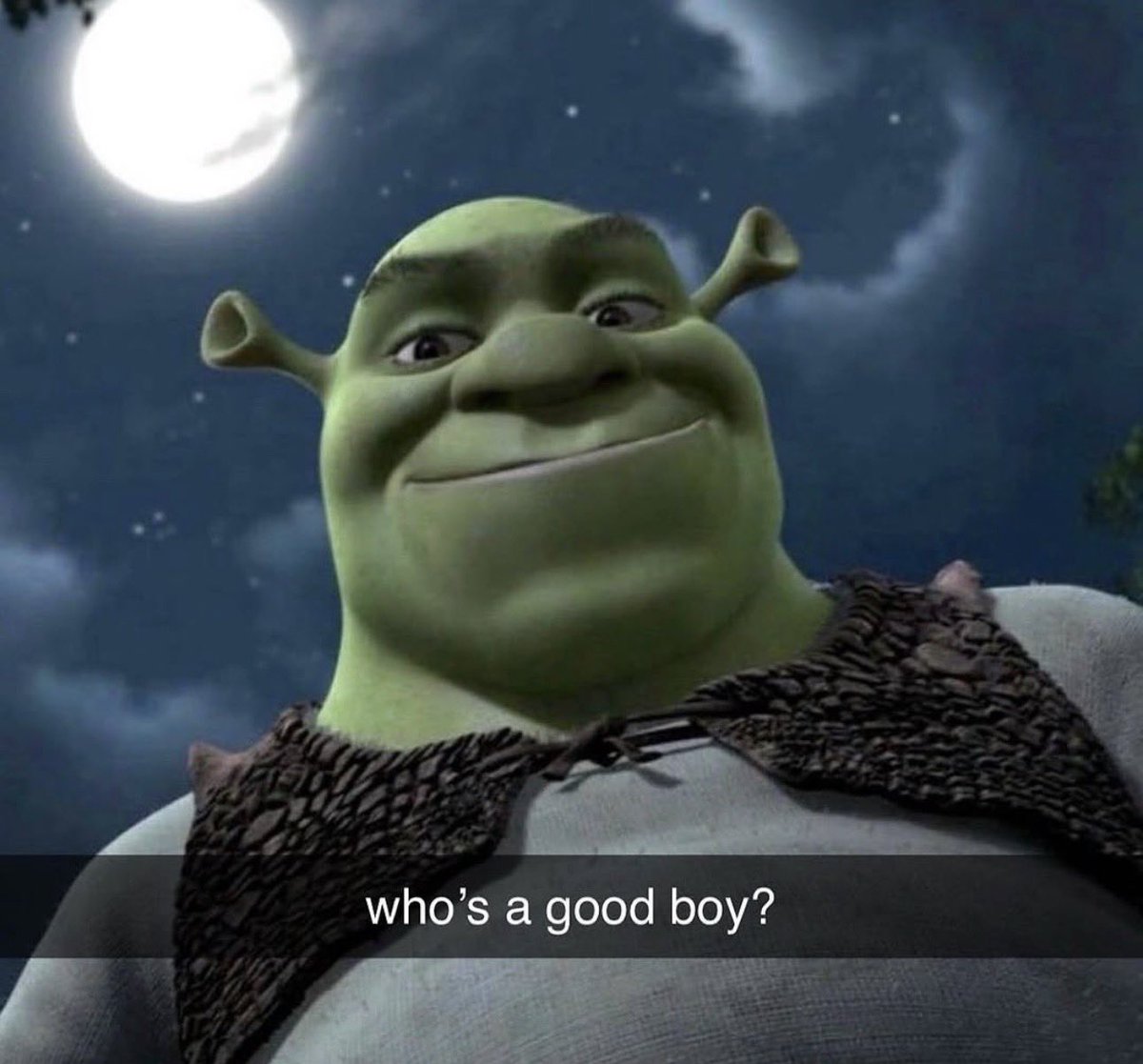 close ELBL✝️🦈(#SoaRELBL) tweet media