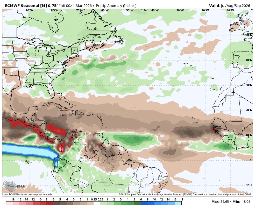 Dylan Federico tweet media
