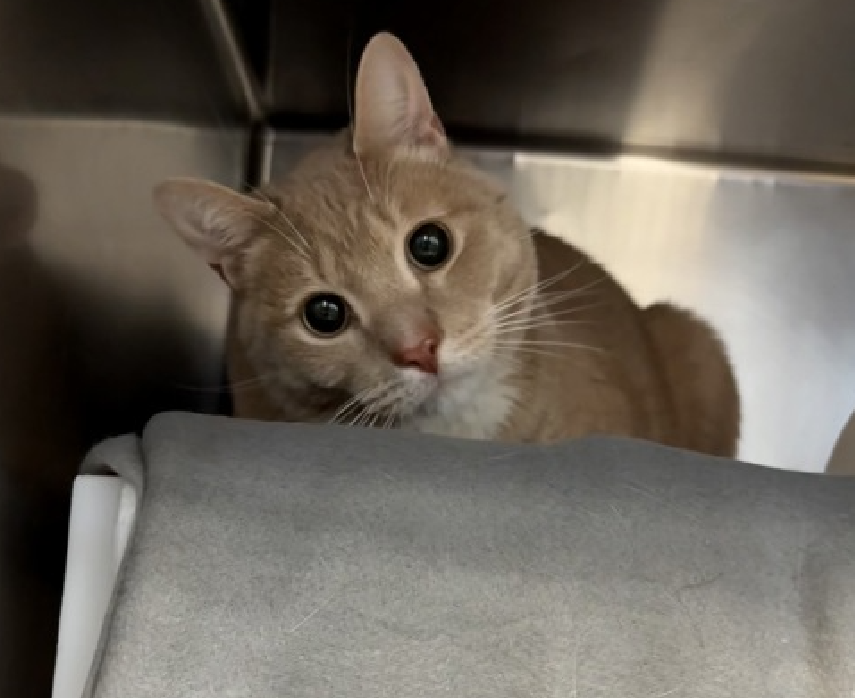 Jack5928 tweet media