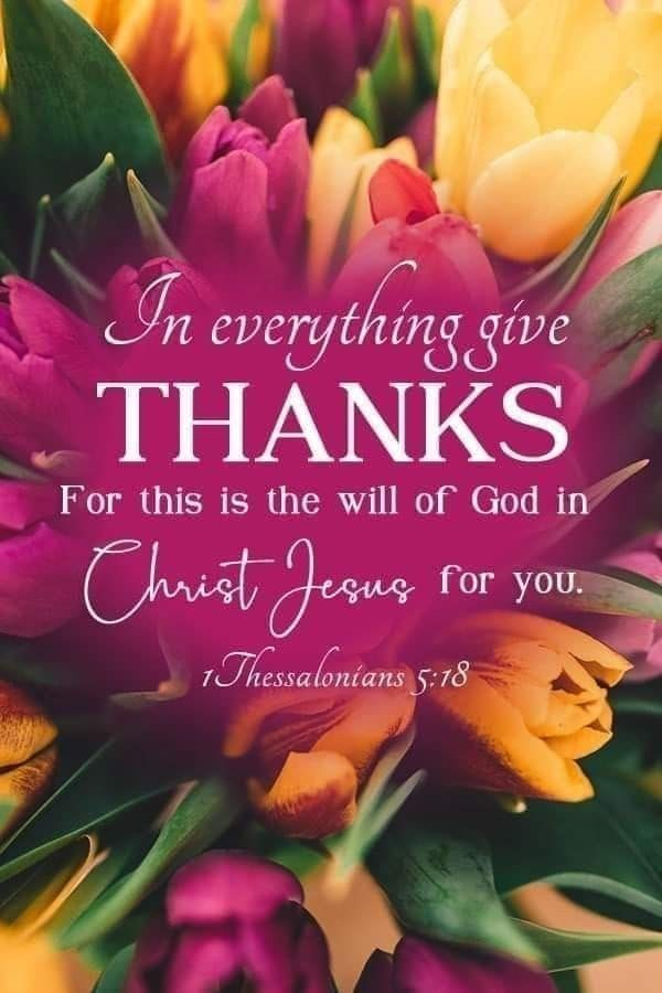 JulieParker144's tweet photo. Revelation 3:21 To him that overcometh will I grant to sit with me in my throne, even as I also overcame, and am set down with my Father in his throne. #Overcometh #Bible Image: https://t.co/QwkFvQpJa3 https://t.co/jNJnEcoxlI
