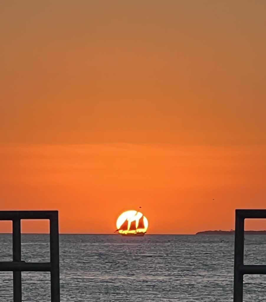 West of Licorice tweet media