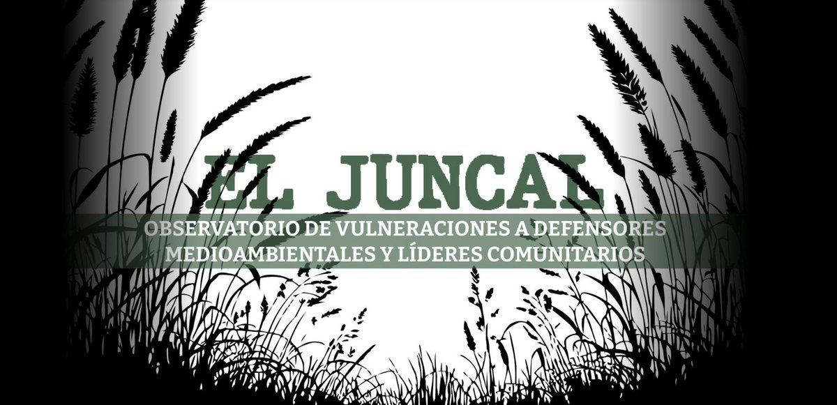 MalaYerba tweet media