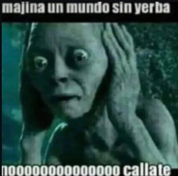 𝖗𝖆𝖒𝖎_ (@_rami44) on Twitter photo 