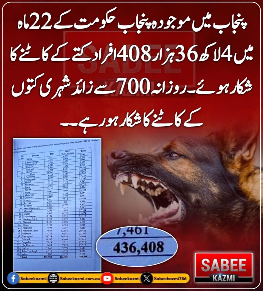 میڈم ٹک ٹاکر