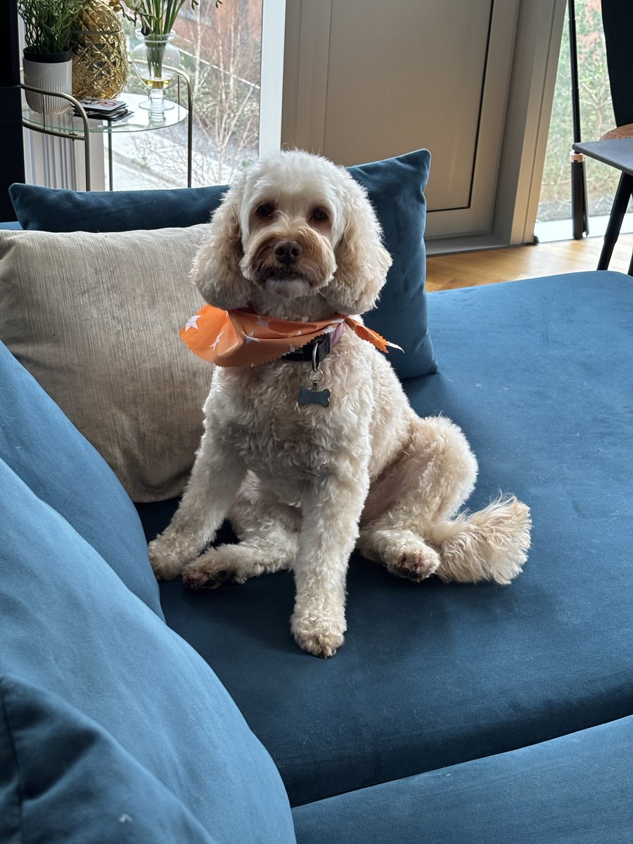 John Pennington💙 tweet media