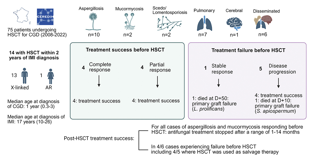 jhumimmunity's tweet image. Bes-Berlandier, Lanternier et al. describe the characteristics &amp;amp; clinical outcomes of chronic granulomatosis disease patients undergoing hematopoietic stem cell transplantation within 2 years after an invasive mold infection diagnosis hubs.la/Q045KZxd0

#CGD #HSCT