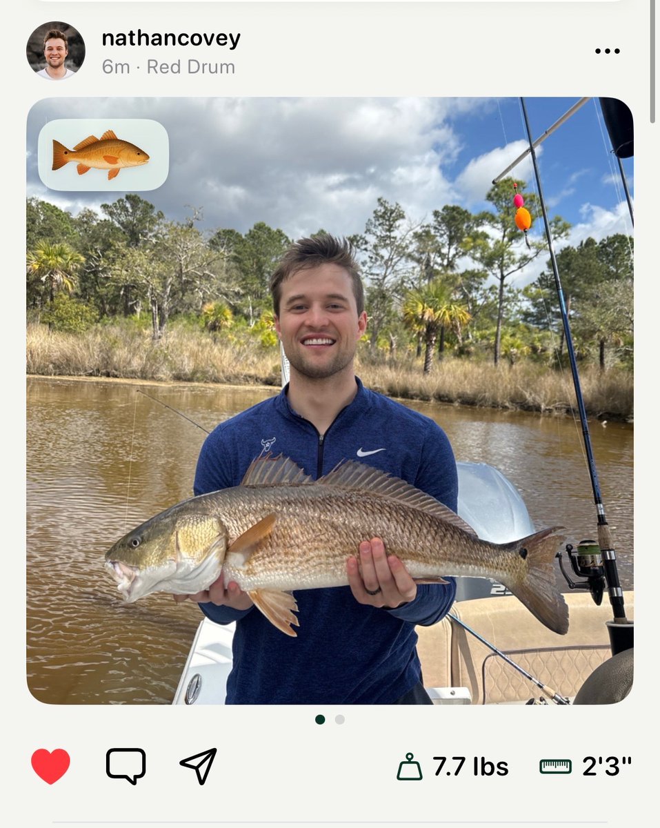 Nathan Covey tweet media